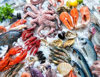 destin seafood festival